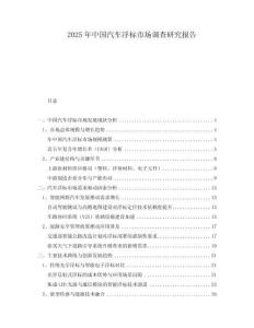 2025年中國汽車浮標(biāo)市場調(diào)查研究報告