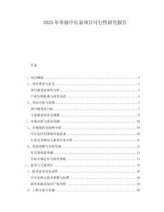 2025年單級中壓泵項目可行性研究報告