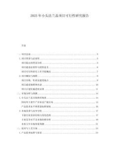 2025年小頭法蘭蓋項目可行性研究報告