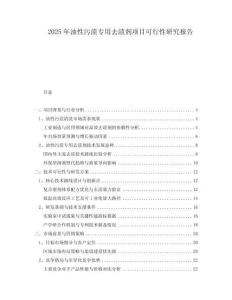 2025年油性污漬專用去漬劑項目可行性研究報告