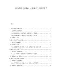 2025年橡膠磁體片材項目可行性研究報告