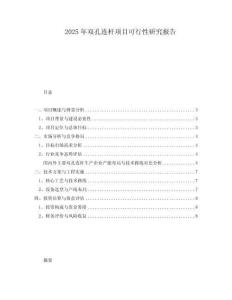 2025年雙孔連桿項(xiàng)目可行性研究報(bào)告