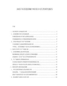 2025年活瓷彩釉中杯項目可行性研究報告