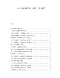 2025年圣誕蜂鳥項目可行性研究報告