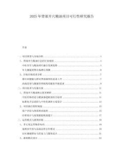 2025年背部開穴精油項目可行性研究報告
