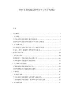 2025年限流避雷針項(xiàng)目可行性研究報(bào)告