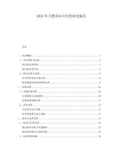 2025年下擺項(xiàng)目可行性研究報(bào)告