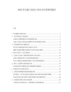 2025年點(diǎn)澆口直水口項(xiàng)目可行性研究報告