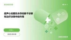 超声心动图在永存动脉干诊断和治疗决策中的作用