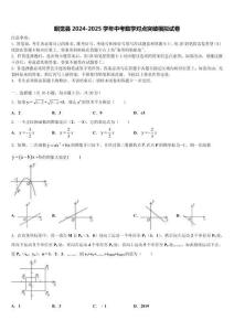 昭覺縣2024-2025學(xué)年中考數(shù)學(xué)對(duì)點(diǎn)突破模擬試卷含解析