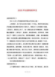 2025年去游玩的作文