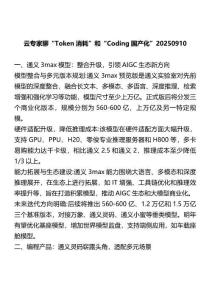 云专家聊“Token消耗”和“Coding国产化”20250910