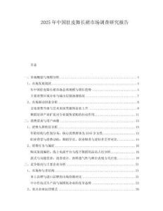 2025年中國肚皮舞長裙市場調(diào)查研究報告