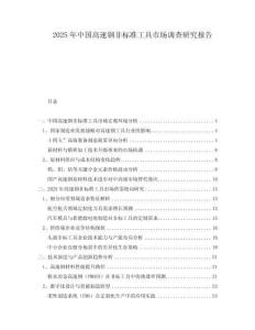 2025年中國高速鋼非標(biāo)準(zhǔn)工具市場調(diào)查研究報(bào)告