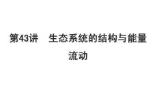 2026屆高考生物一輪復(fù)習(xí)課件：選擇性必修2　第九單元　生物與環(huán)境　第43講　生態(tài)系統(tǒng)的結(jié)構(gòu)與能量流動(dòng)