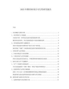 2025年錐形杯項目可行性研究報告