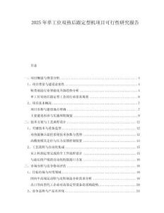 2025年單工位雙熱后跟定型機(jī)項(xiàng)目可行性研究報(bào)告