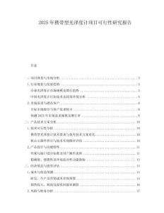 2025年攜帶型光澤度計(jì)項(xiàng)目可行性研究報(bào)告