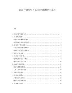 2025年迷你電吉他項目可行性研究報告