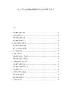 2025年小麥剝皮砂輥項目可行性研究報告