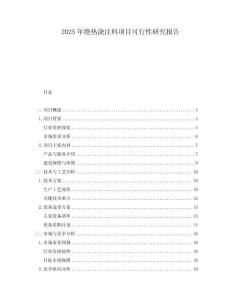 2025年絕熱澆注料項(xiàng)目可行性研究報(bào)告