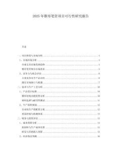 2025年錐形筆管項目可行性研究報告