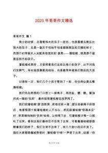 2025年哥哥作文精选