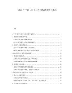 2025年中國(guó)LED節(jié)日燈市場(chǎng)調(diào)查研究報(bào)告