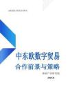 2025年中東歐數(shù)字貿(mào)易合作前景與策略報(bào)告