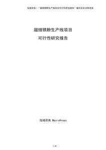 超細銀粉生產線項目可行性研究報告（模板）