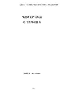 成型紙生產線項目可行性分析報告
