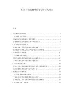 2025年抹灰機(jī)項(xiàng)目可行性研究報(bào)告