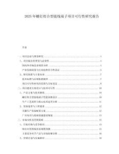 2025年螺釘組合型接線端子項(xiàng)目可行性研究報告
