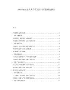 2025年亮光尖頭合頁項目可行性研究報告