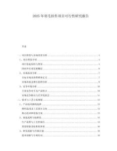 2025年羽毛掛件項目可行性研究報告