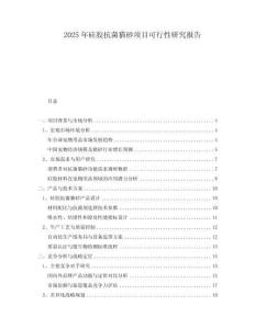 2025年硅膠抗菌貓砂項(xiàng)目可行性研究報(bào)告