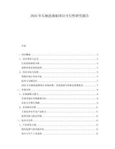 2025年長柄洗澡刷項(xiàng)目可行性研究報(bào)告