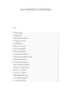2025年扇形刷項(xiàng)目可行性研究報(bào)告