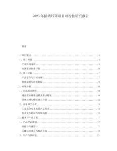 2025年插銷耳罩項目可行性研究報告