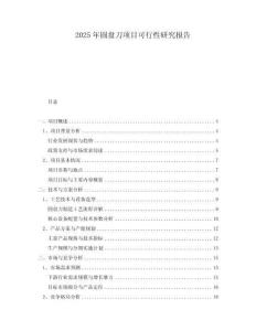 2025年圓盤刀項目可行性研究報告