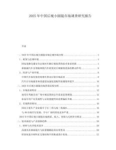 2025年中國(guó)后視小圓鏡市場(chǎng)調(diào)查研究報(bào)告