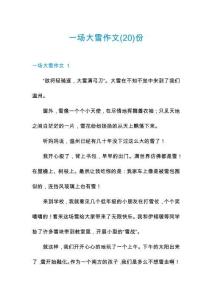 一場大雪作文份
