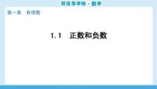 雙優(yōu)導(dǎo)學(xué)練數(shù)學(xué)(人教)七年級(jí)上冊(cè) 課件 1.1　正數(shù)和負(fù)數(shù)