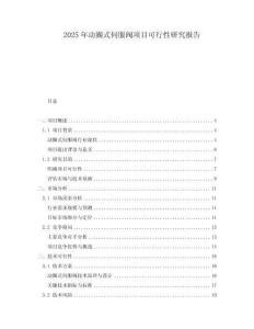 2025年动圈式伺服阀项目可行性研究报告