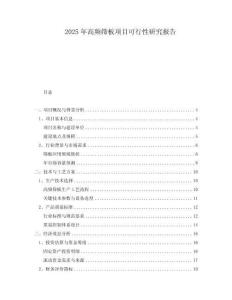 2025年高頻篩板項(xiàng)目可行性研究報(bào)告