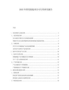 2025年四用胎匙項(xiàng)目可行性研究報(bào)告