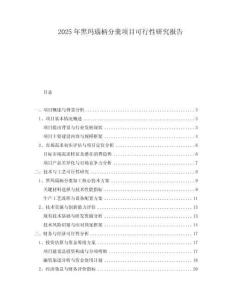 2025年黑瑪瑙柄分羹項(xiàng)目可行性研究報(bào)告