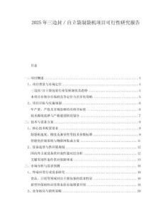 2025年三邊封／自立袋制袋機(jī)項(xiàng)目可行性研究報(bào)告