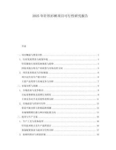 2025年針織衫褲項目可行性研究報告