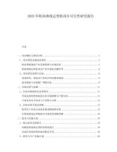 2025年鞋面曲線定型機(jī)項(xiàng)目可行性研究報(bào)告